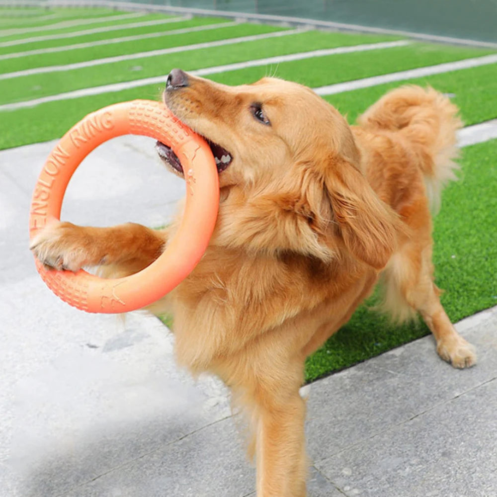 Interactive Dog Flying Disk Toy for Training - Smarsty