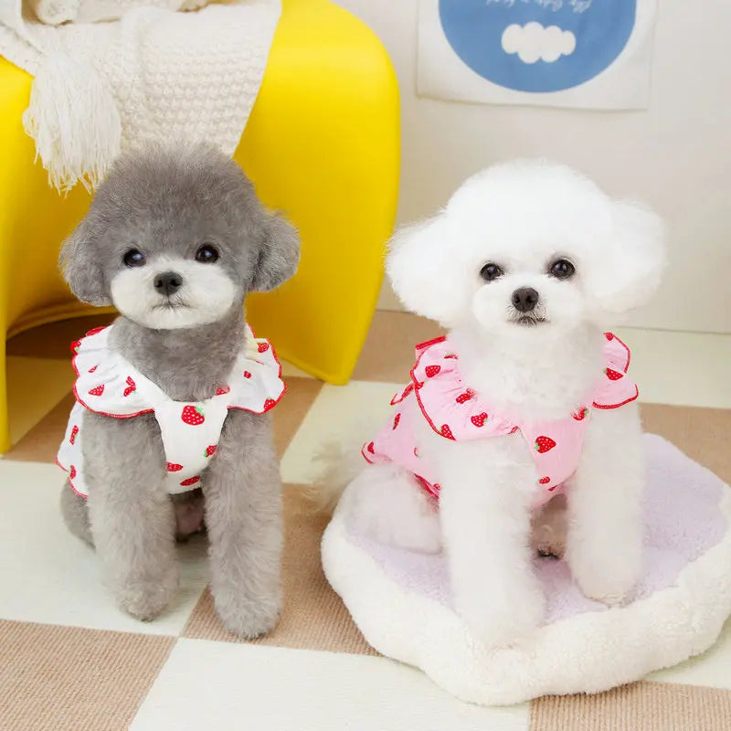 Luxury Dog Strawberry Dress for Summer Style - Smarsty