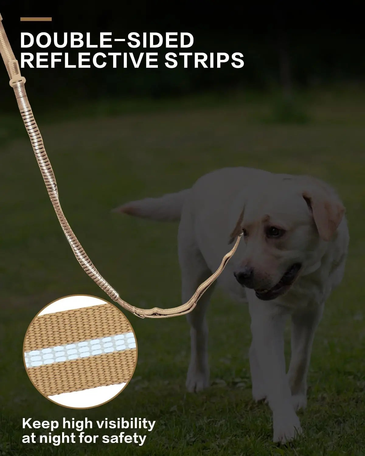 Reflective Bungee Dog Leash with Car Seatbelt Attachment - Smarsty