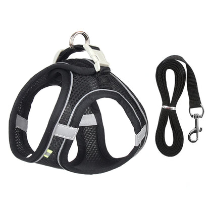 Adjustable Dog Harness Leash Set for Small Dogs - Smarsty