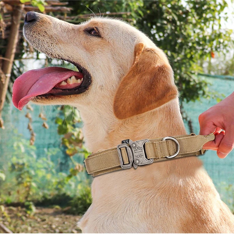 Durable Reflective Nylon Dog Collar and Leash Set - Smarsty