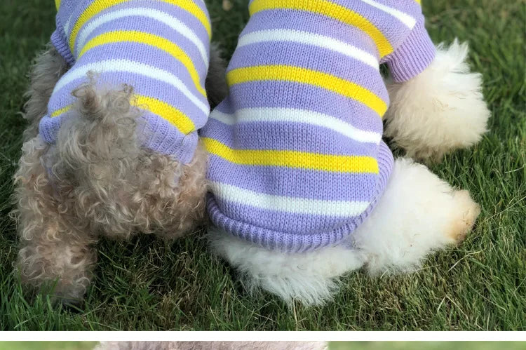 Warm Dog Coat for Small Dogs Winter Jacket - Smarsty