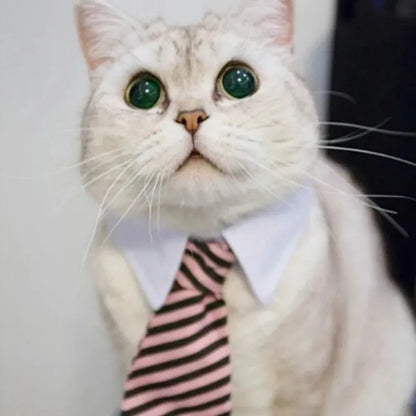 Adjustable Pet Bow Tie Necktie for Dogs and Cats - Smarsty