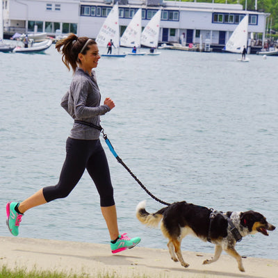 Hands Free Dog Leash for Jogging and Walking - Smarsty