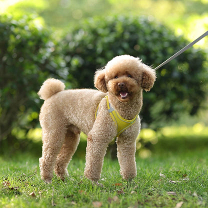 Adjustable Dog Harness Leash Set for Small Dogs - Smarsty