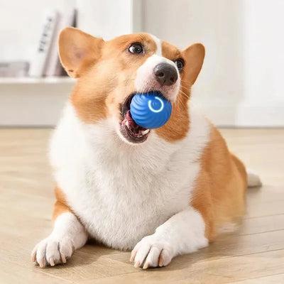 Interactive Smart Dog Toy Ball For Active Play - Smarsty