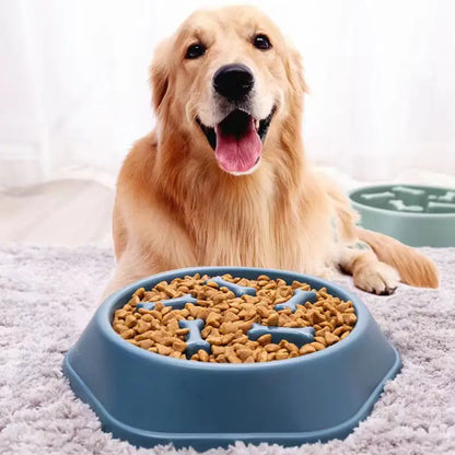 Slow Feeder Dog Bowl for Healthy Eating - Smarsty
