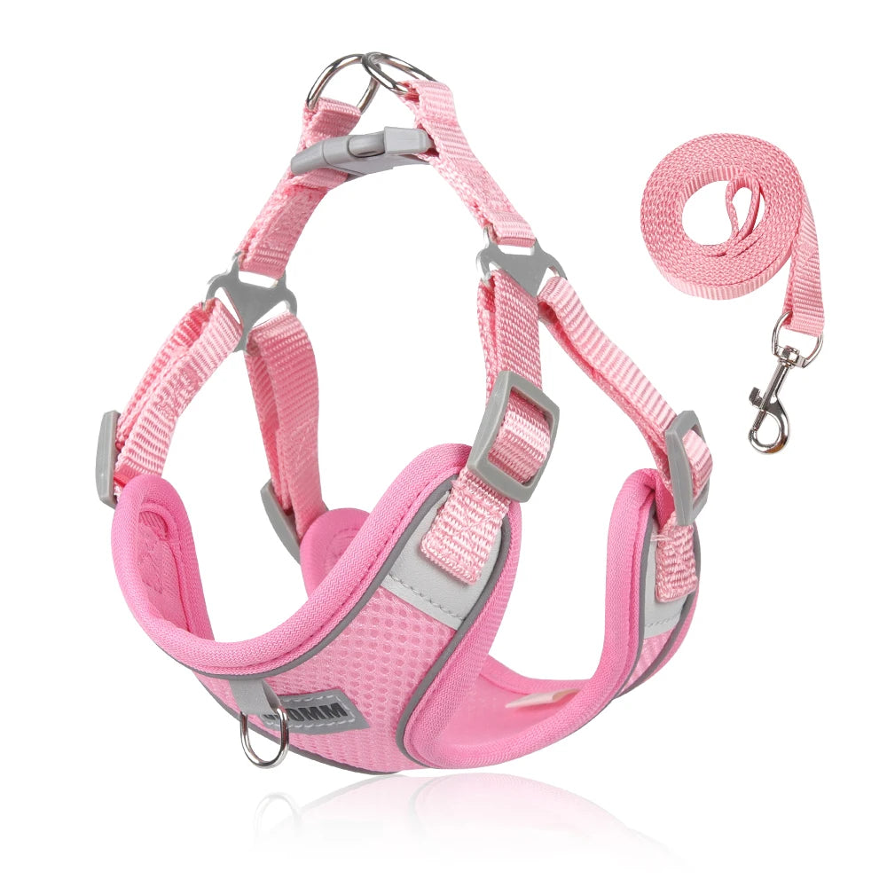 Reflective Dog Harness Leash Set for Outdoor Safety - Smarsty