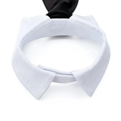 Adjustable Pet Bow Tie Necktie for Dogs and Cats - Smarsty