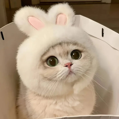 Bunny Ears Cat Hat Comfortable Knit Costume for Pets - Smarsty