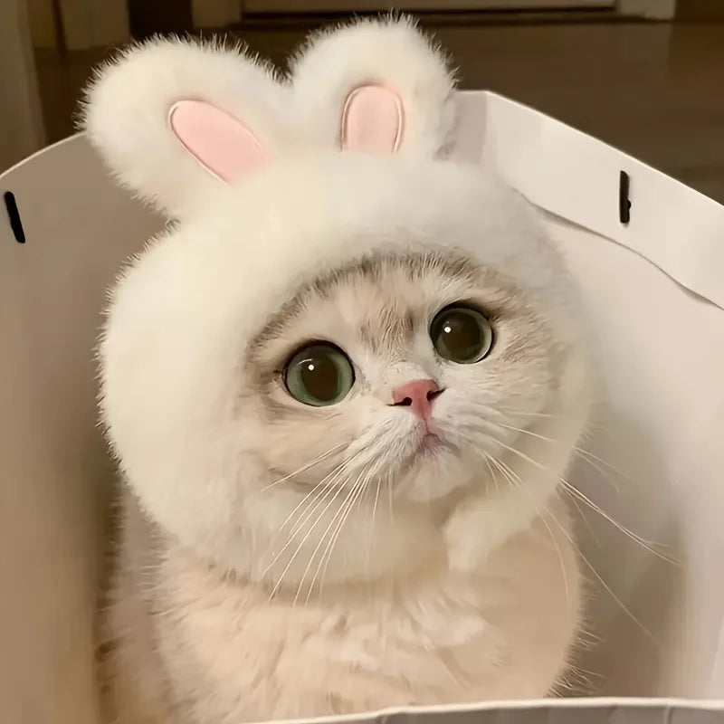 Bunny Ears Cat Hat Comfortable Knit Costume for Pets - Smarsty