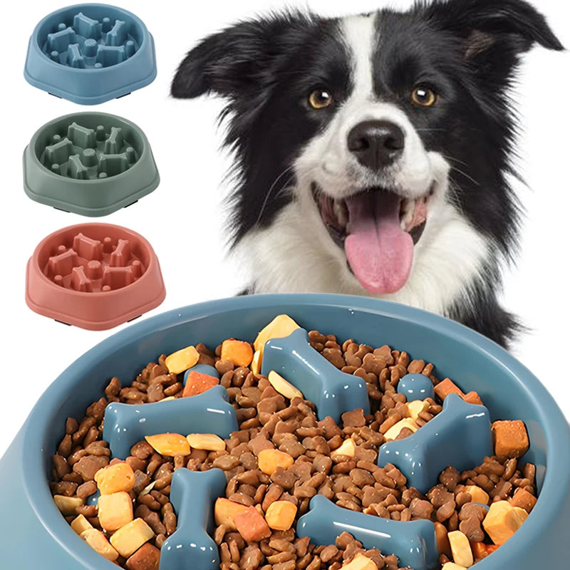 Slow Feeder Dog Bowl for Healthy Eating - Smarsty
