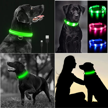 USB Charging Bright LED Dog Collar for Night Safety - Smarsty