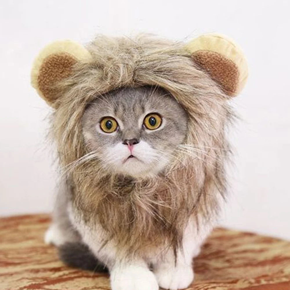 Cat Lion Mane Costume Wig for Fun Dress Up - Smarsty