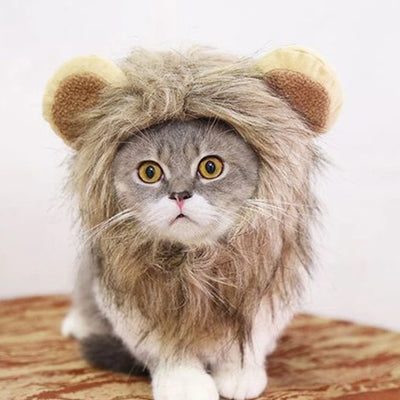 Cat Lion Mane Costume Wig for Fun Dress Up - Smarsty