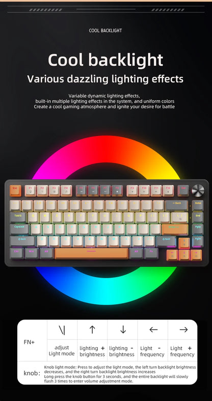 75 Percent Mechanical Keyboard With Media Knob Backlighting