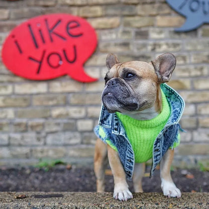 Denim Dog Jacket with Stylish Holes for All Seasons - Smarsty