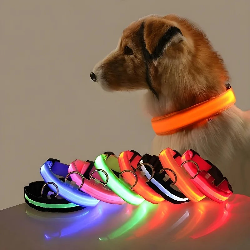 LED Nylon Dog Collar for Night Safety and Visibility - Smarsty