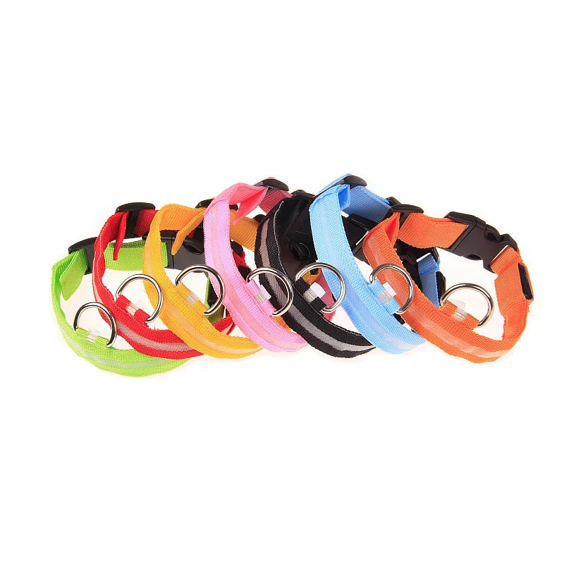 Nylon LED Glow In The Dark Dog Leash - Smarsty