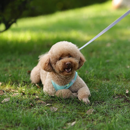 Adjustable Dog Harness Leash Set for Small Dogs - Smarsty