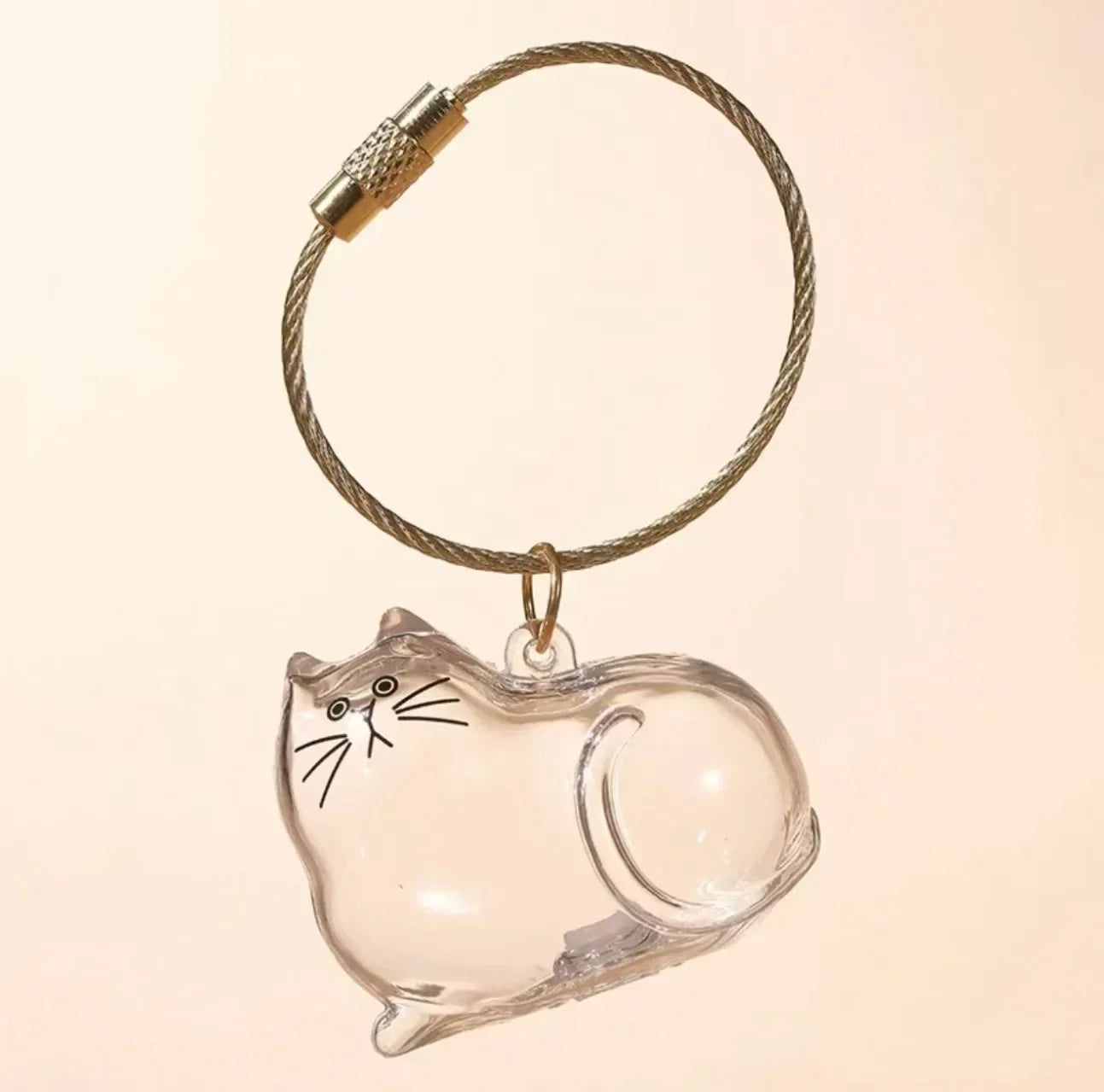 Transparent Cat Hair Storage Box for Pet Lovers - Smarsty