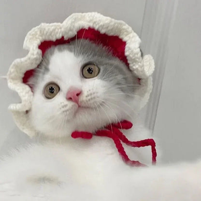Cute Frog Cat Hat with Bunny Ears for Fun Costumes - Smarsty