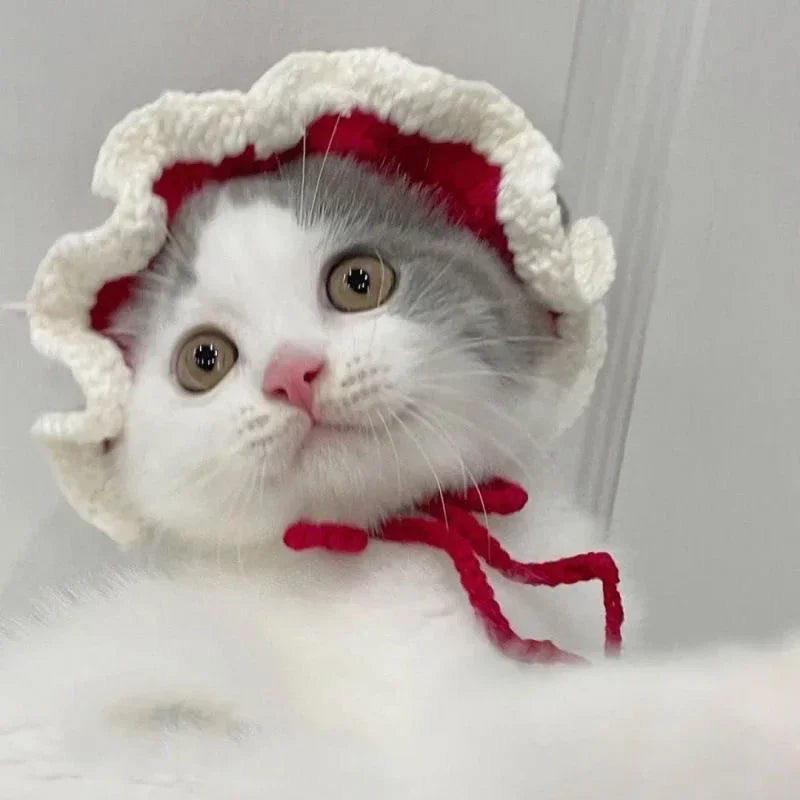 Cute Frog Cat Hat with Bunny Ears for Fun Costumes - Smarsty