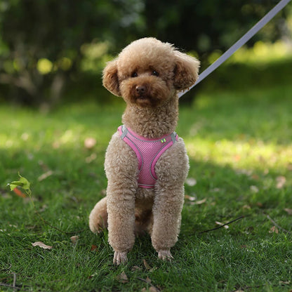 Adjustable Dog Harness Leash Set for Small Dogs - Smarsty