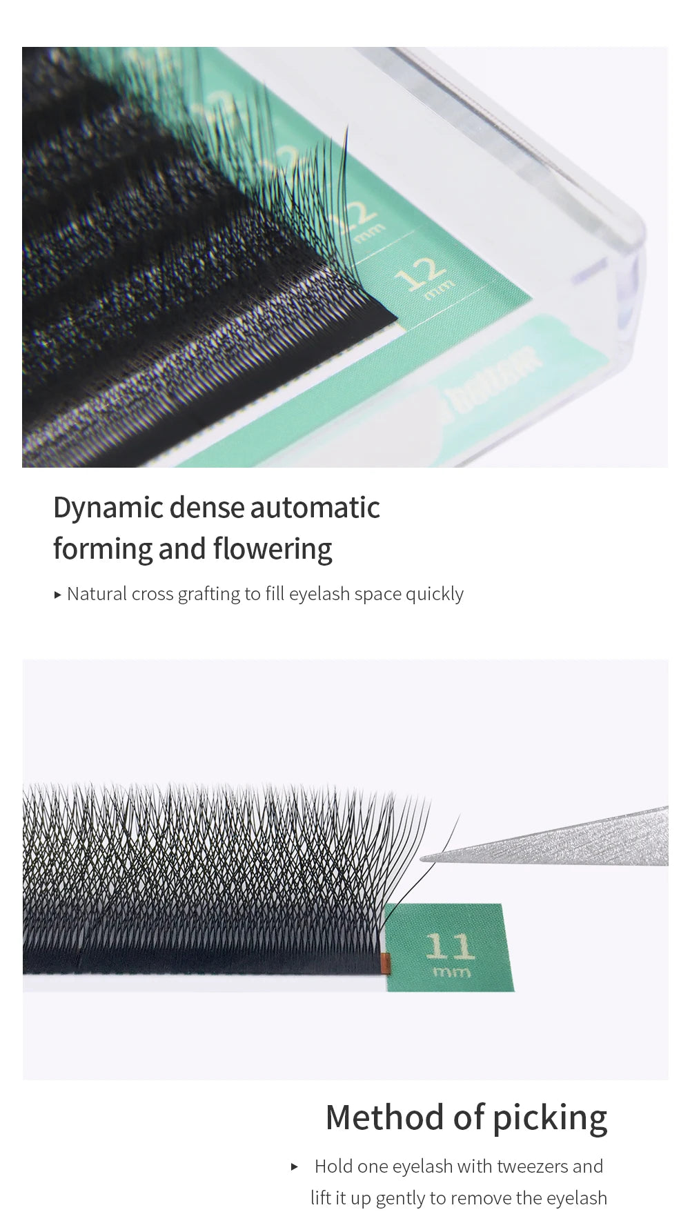 Glamlash 4D W Shape Eyelash Extensions for Dramatic Volume - Smarsty