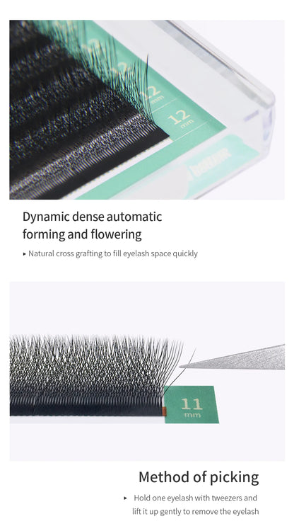 Glamlash 4D W Shape Eyelash Extensions for Dramatic Volume - Smarsty