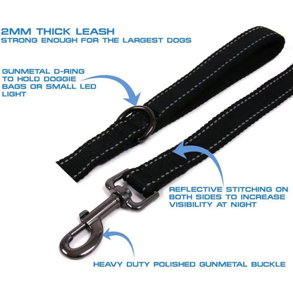 Heavy Duty Dog Leash with Dual Handles for Control - Smarsty