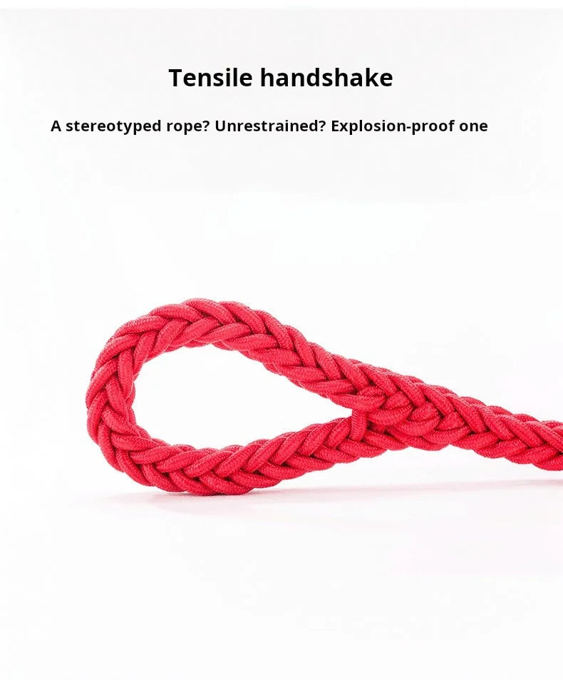 Comfort-Strong 5-Foot Braided Dog Leash for Training - Smarsty