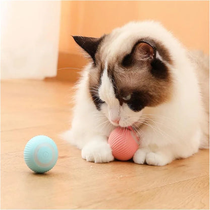 Interactive Smart Dog Toy Ball For Active Play - Smarsty