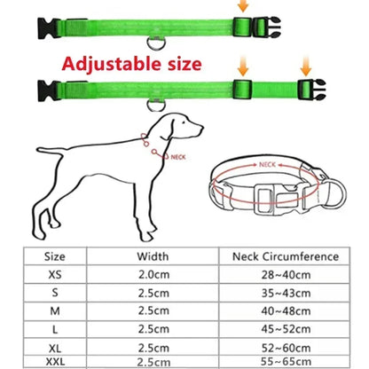 LED Glowing Dog Collar Adjustable Rechargeable Night Safety - Smarsty