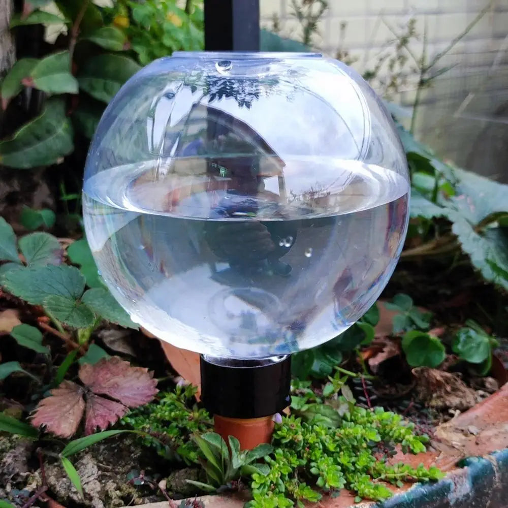500ML Plant Watering Globes Watering Bulbs Clear Flower Automatic Watering Device Auto Waterer Self-Watering Stakes Irrigation