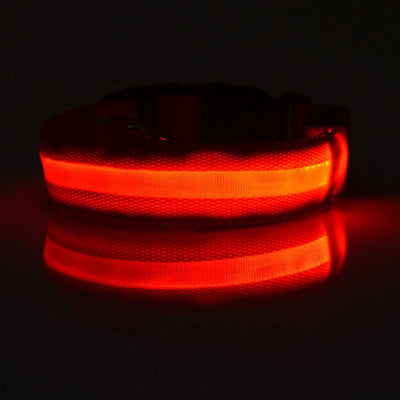 Nylon LED Glow In The Dark Dog Leash - Smarsty