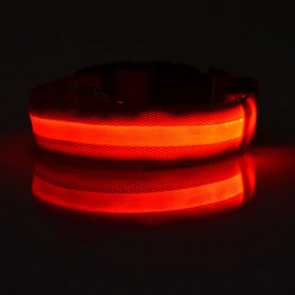 Nylon LED Glow In The Dark Dog Leash - Smarsty
