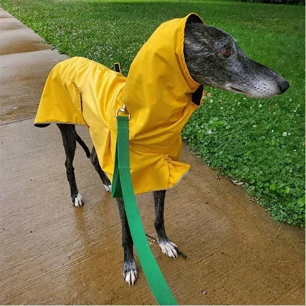 Waterproof Winter Coat for Italian Greyhounds and Whippets - Smarsty