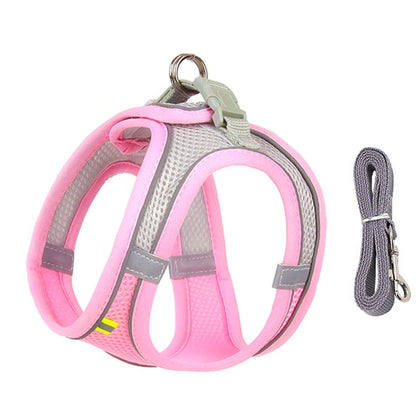 Adjustable Dog Harness Leash Set for Small Dogs - Smarsty
