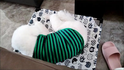 Portable Elevated Dog Bed with Washable Fabric - Smarsty