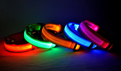 Nylon LED Glow In The Dark Dog Leash - Smarsty