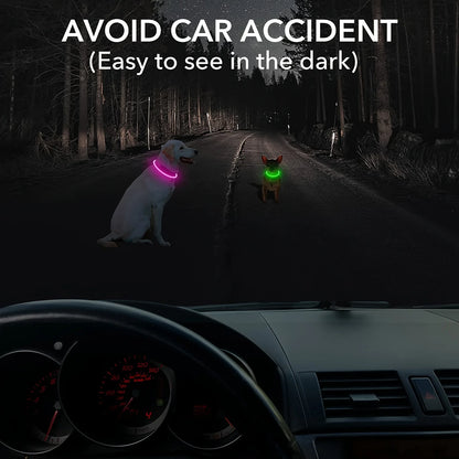 USB Rechargeable LED Dog Collar for Safety - Smarsty
