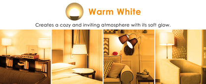 12PCS A19 LED Light Bulb 9W E26 Base LED Bulb 3000K 6500K Warm/Cool White Non Dimmable 900LM for Bedroom Living Room Kitchen