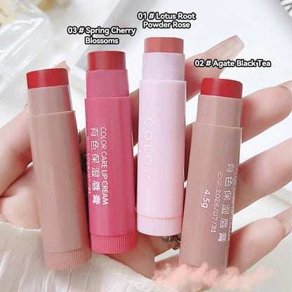 HAIPINK Tinted Moisturizing Lip Balm Set for Hydration - Smarsty
