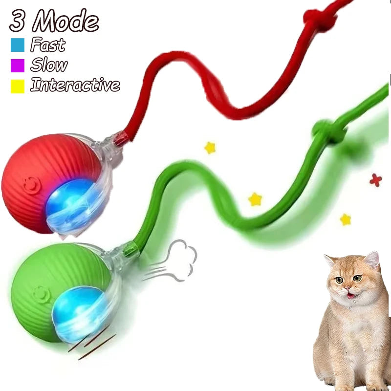 Rechargeable Cat Interactive Rolling Ball Toy Set - Smarsty