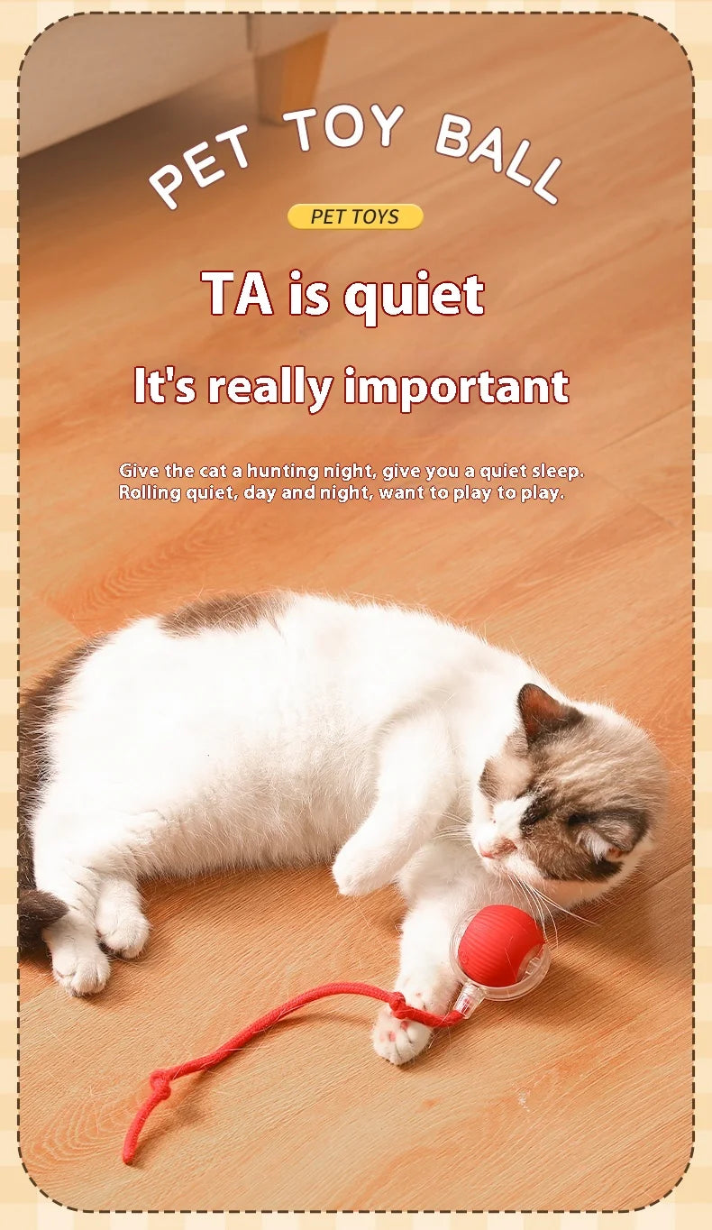 Rechargeable Cat Interactive Ball Toy With Faux Tail - Smarsty
