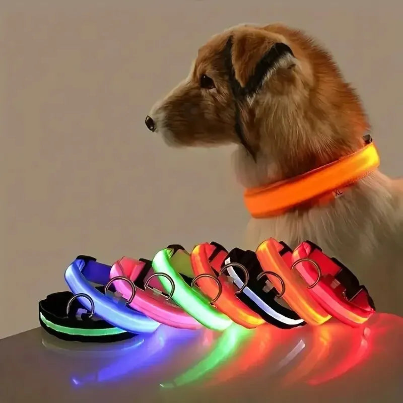 Nylon LED Glow In The Dark Dog Leash - Smarsty