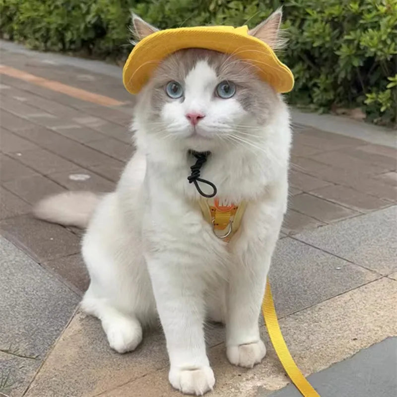 Cute Cat Dog Sun Hat with Ear Hole for Outdoor Fun - Smarsty