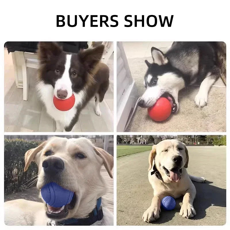 Hoopet Bite-Resistant Rubber Dog Ball Toy - Smarsty