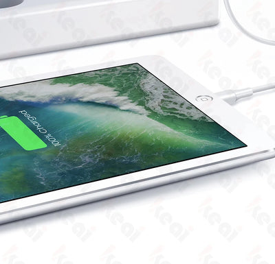 Efficiently 30W USB C Fast PD Charger For iPhone Pro - Smarsty